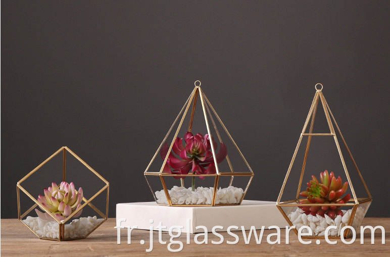 Glass Terrarium5